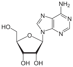 Adenosine powder.1png