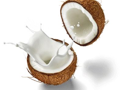 Raw material of coconut milk poweder