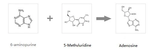 adenosine powder 33
